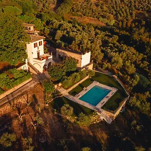 Podere Di Montecchio - Colleramole Florenz